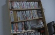女子走私2000多本淫秽漫画获刑