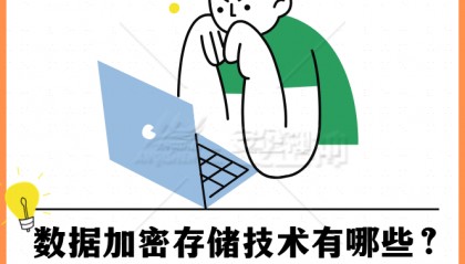 【图解】数据加密存储技术有哪些？数据加密存储的四种途径（一眼心动！）