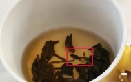 奈雪的茶被曝喝出青蛙，公司回应：已和消费者协商处理完毕