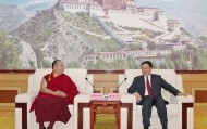 西藏自治区党委书记王君正会见班禅额尔德尼·确吉杰布