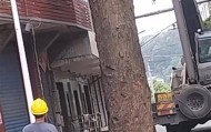 四川巴中一棵380多年古树被砍，社区：树干中空还挨着房屋，为排险才砍