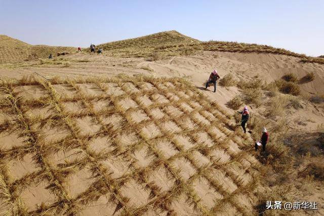 镜观·回响丨西部生态建设：以高水平保护支撑高质量发展