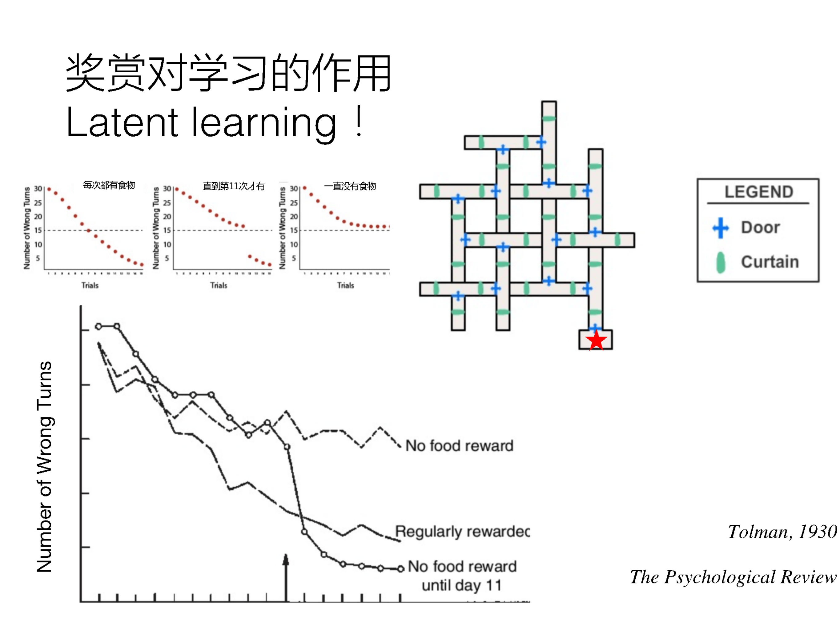 频繁使用GPS丧失方向感？清华大学陈霓虹：影响或可逆，可通过学习训练提升