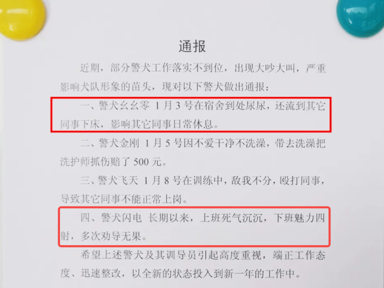 “上班死气沉沉、下班魅力四射”，警犬被通报