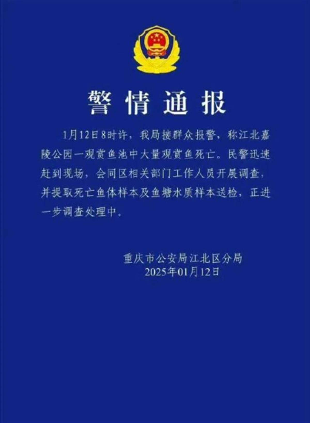 重庆观音桥步行街观赏鱼突然大量死亡，警方介入绝非小题大做