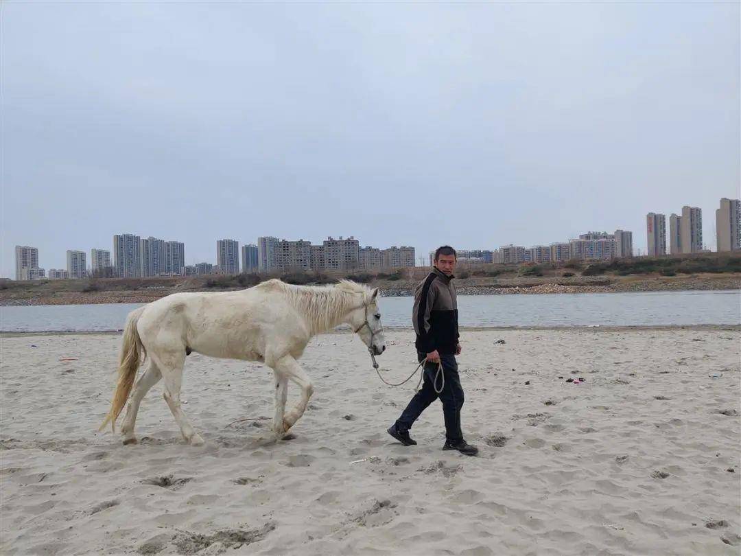 武侠小说场景照进现实 “白龙马”入江救人刷屏全网