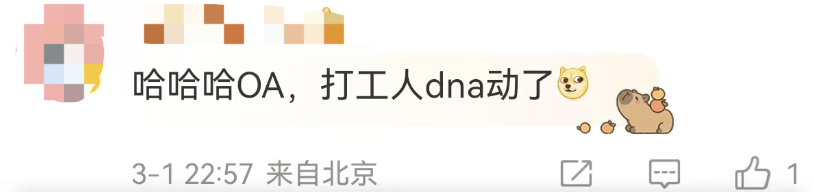 冲上热搜！毛不易深圳演唱会惊现PPT，网友：打工人DNA动了