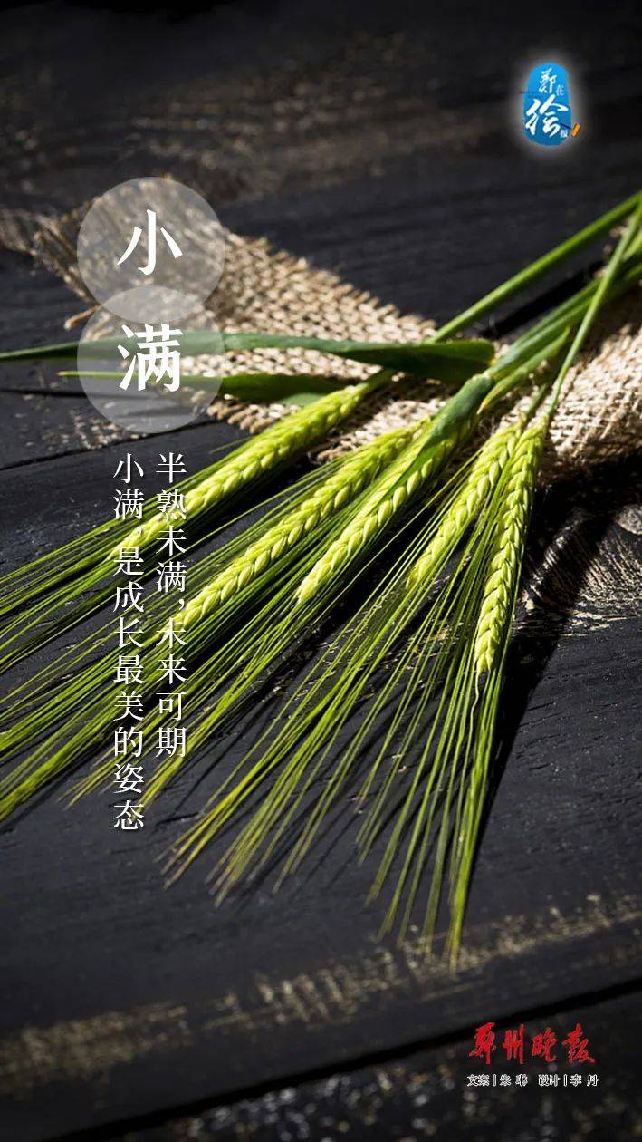 郑在绘报 | 今日小满