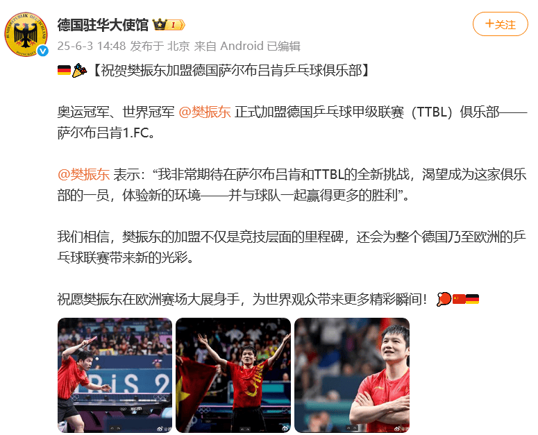德国驻华大使馆回应樊振东赴德打球：会为欧洲的乒乓球联赛带来新的光彩