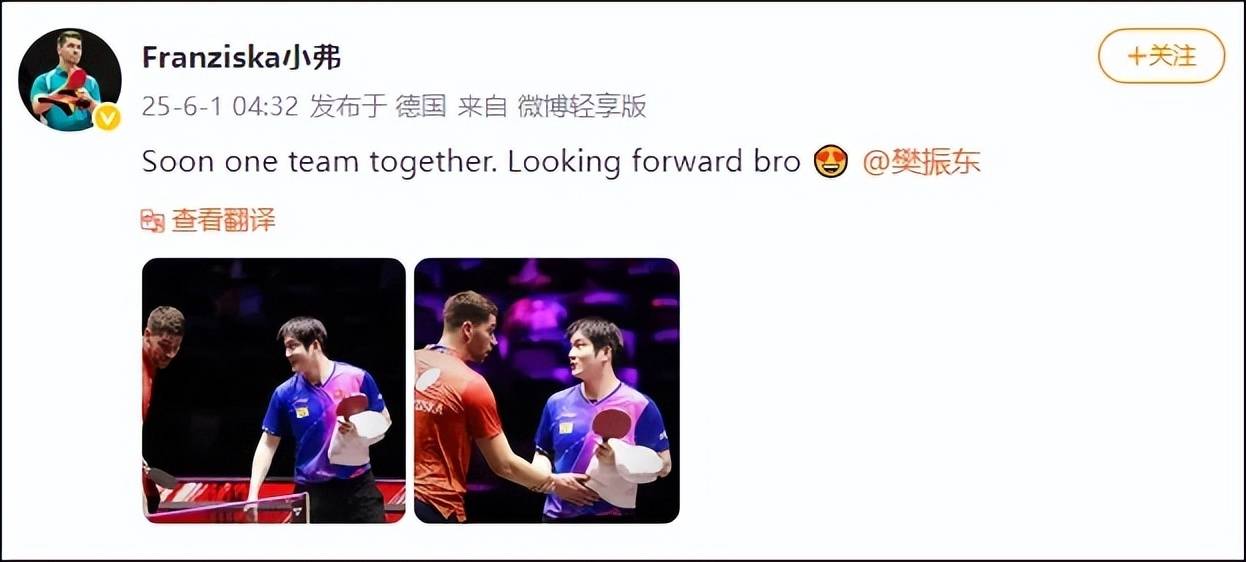 德国驻华大使馆回应樊振东赴德打球：会为欧洲的乒乓球联赛带来新的光彩