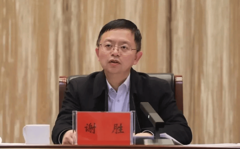 中央巡视期间，谢胜任上被查