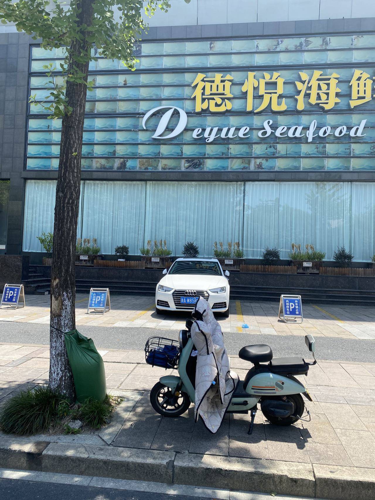 高温暴击下的杭州，行道树为何围上“绿肚兜”？