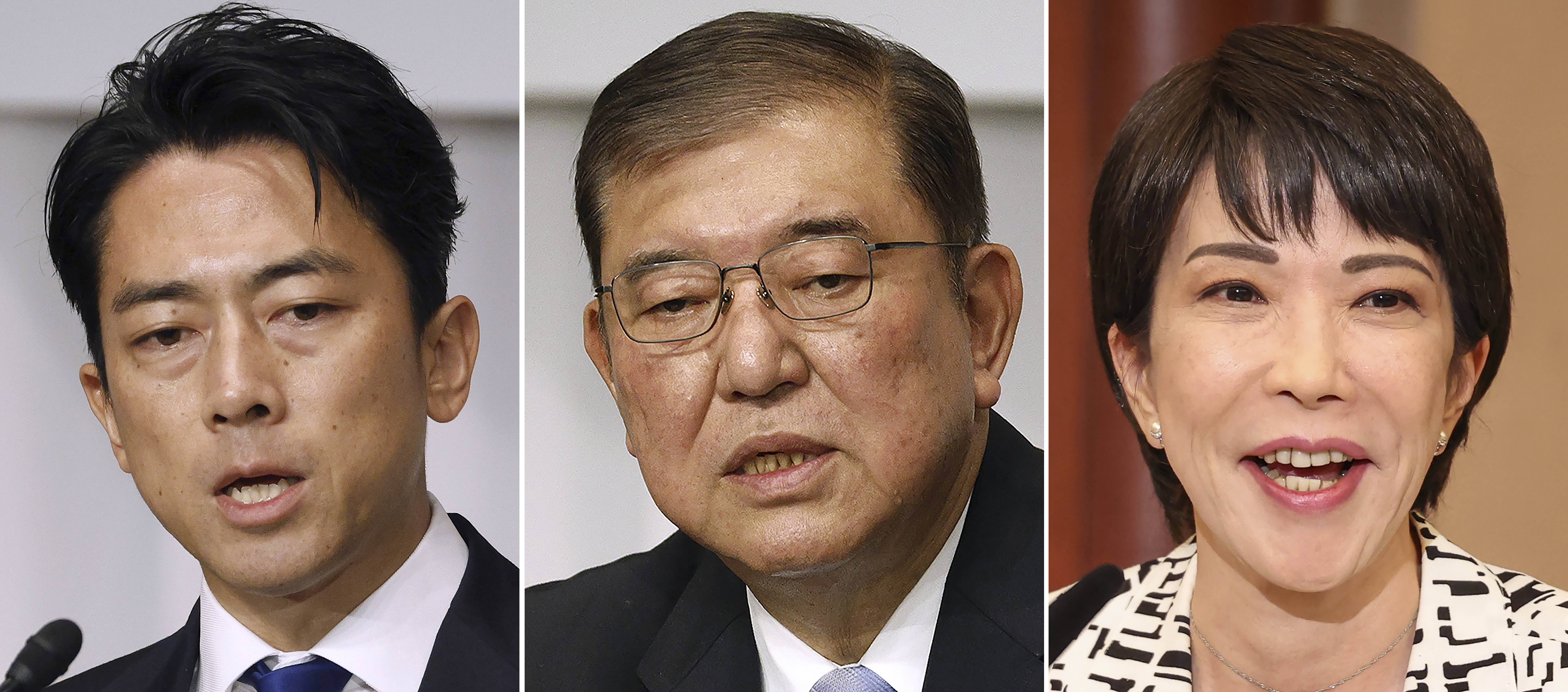 “谁最适合担任下任日本首相”民调结果公布